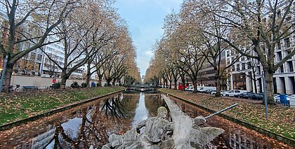 Zu sehen ist ein Gewässer mit Bäumen auf beiden Seiten im Herbst