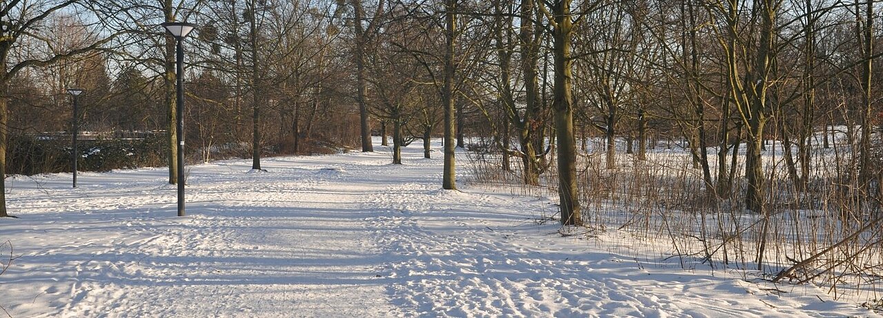 Man sieht verschneite Wege und Bäume