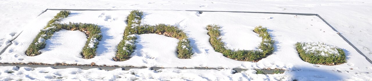 Auf dem Bild sieht man ein verschneites Beet aus dem kleine, in Form des HHU-Logos gesetzte Pflanzen herausragen