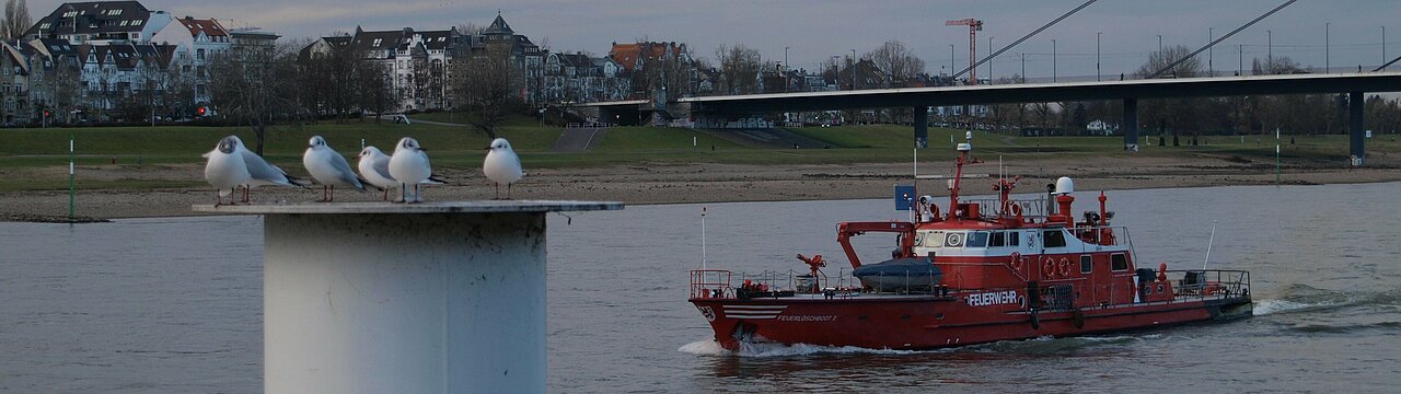Auf dem Bild sieht man den Rhein und ein rotes Schiff. Im Vordergrund sind ein paar Möwen zu sehen 