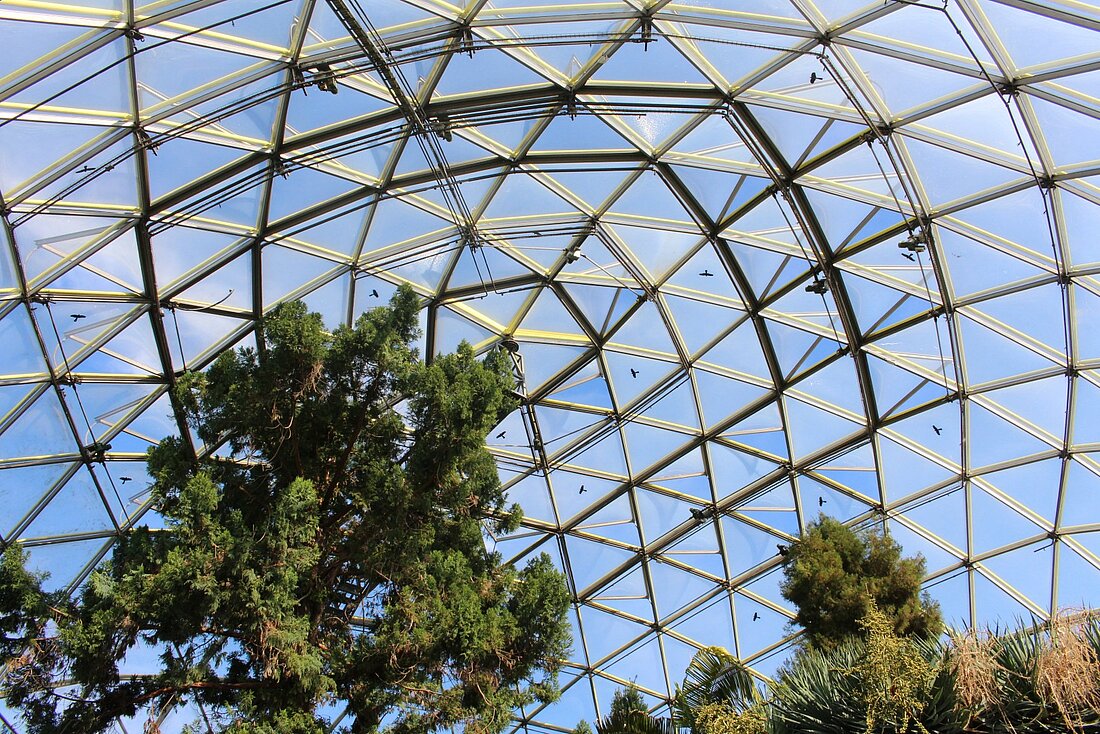 Man sieht den Himmel senkrecht von der Kuppel aus.