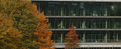 Auf dem Bild sieht man das Oecomomicum an der HHU. And der Seite steht ein Baum mit bunten Blättern und davor schwimmen Schwäne im Teich (Foto: Michelle Pieczyk)