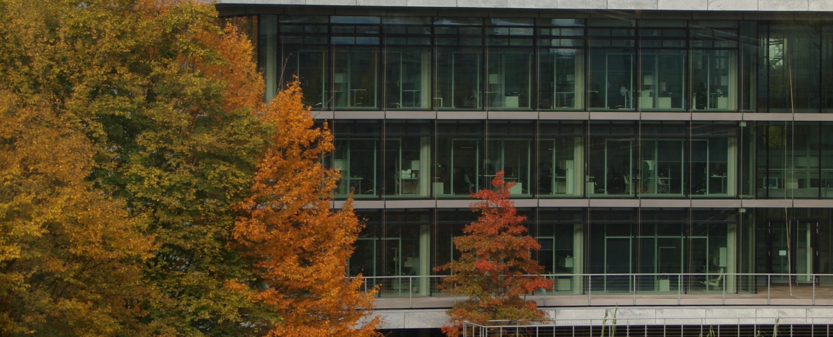 Auf dem Bild sieht man das Oecomomicum an der HHU. And der Seite steht ein Baum mit bunten Blättern und davor schwimmen Schwäne im Teich (Foto: Michelle Pieczyk)