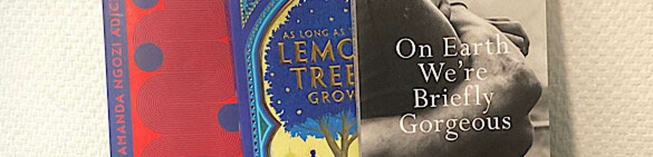 Man sieht die Buchcover von den Romanen “Americanah”, “As Long As the Lemon Trees Grow” und “On Earth We’re Briefly Gorgeous” in der genannten Reihenfolge.