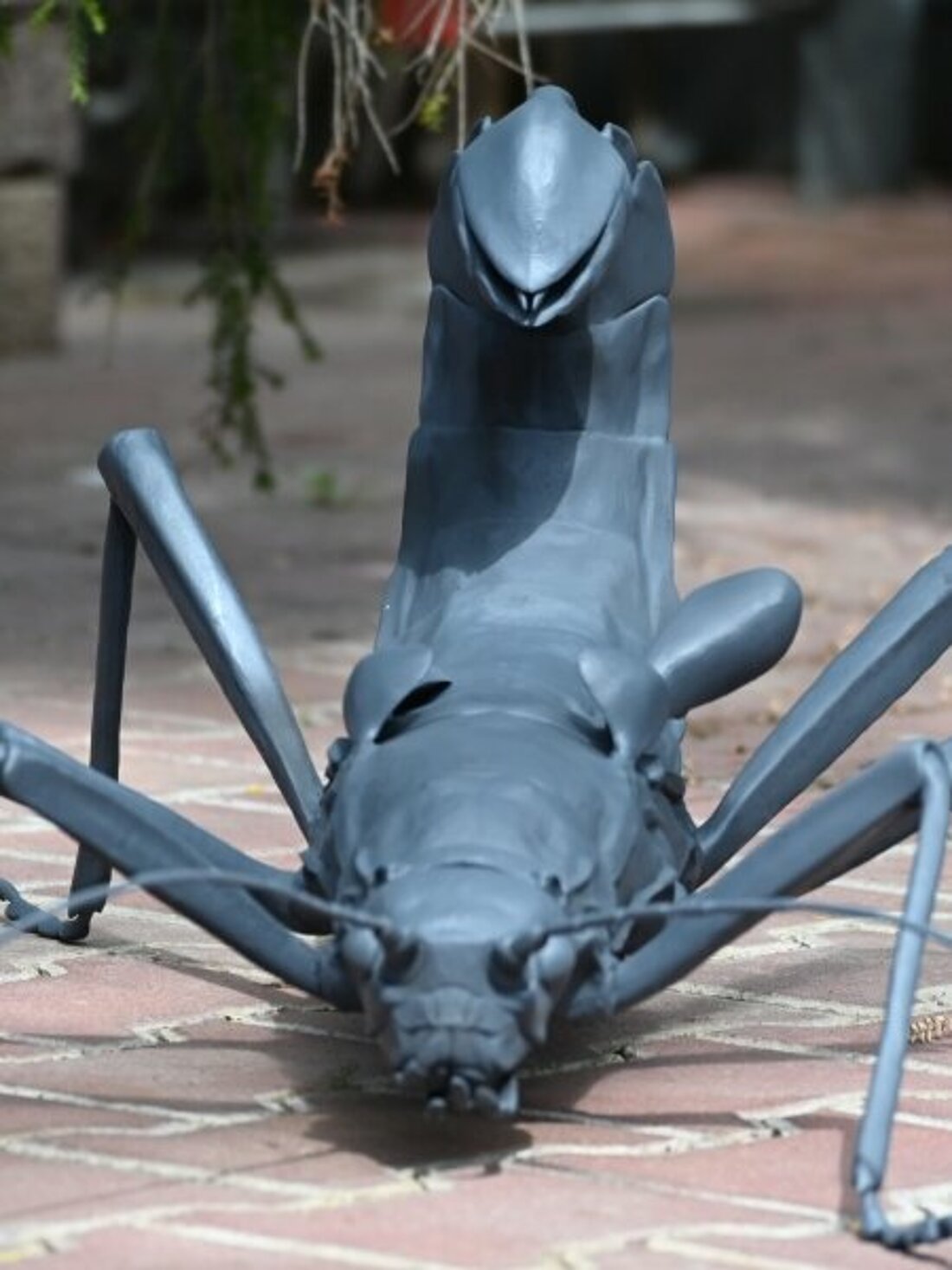 Eine graue Insektenskulptur einer Pfefferschrecke, die einem Skorpion ähnelt.