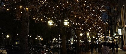 Auf dem Foto sieht man die KÖ in Düsseldorf mit Beleuchtung an den Bäumen (Foto: Michelle Pieczyk)