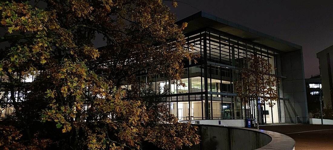 Ein Bild in den Abendstunden auf welchem ein großer Baum das Oeconomicum zur Hälfte verdeckt.