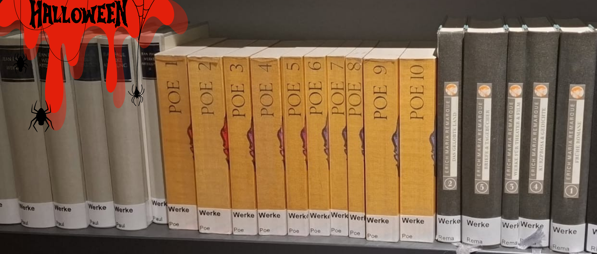 Auf dem Bild sieht man die Werke von Edgar Allan Poe in der Bibliothek (Foto: Lisa Omenzetter)