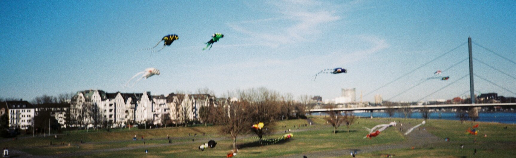 Auf dem Foto ist die andere Rheinseite zu sehen.