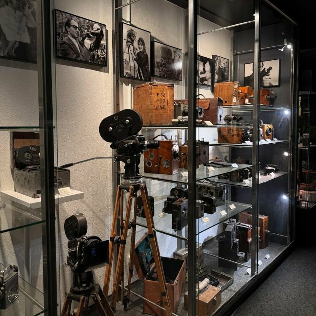 Auf dem Bild sieht man eine Glasvitrine, die mit zahlreichen Kameras gefüllt ist.