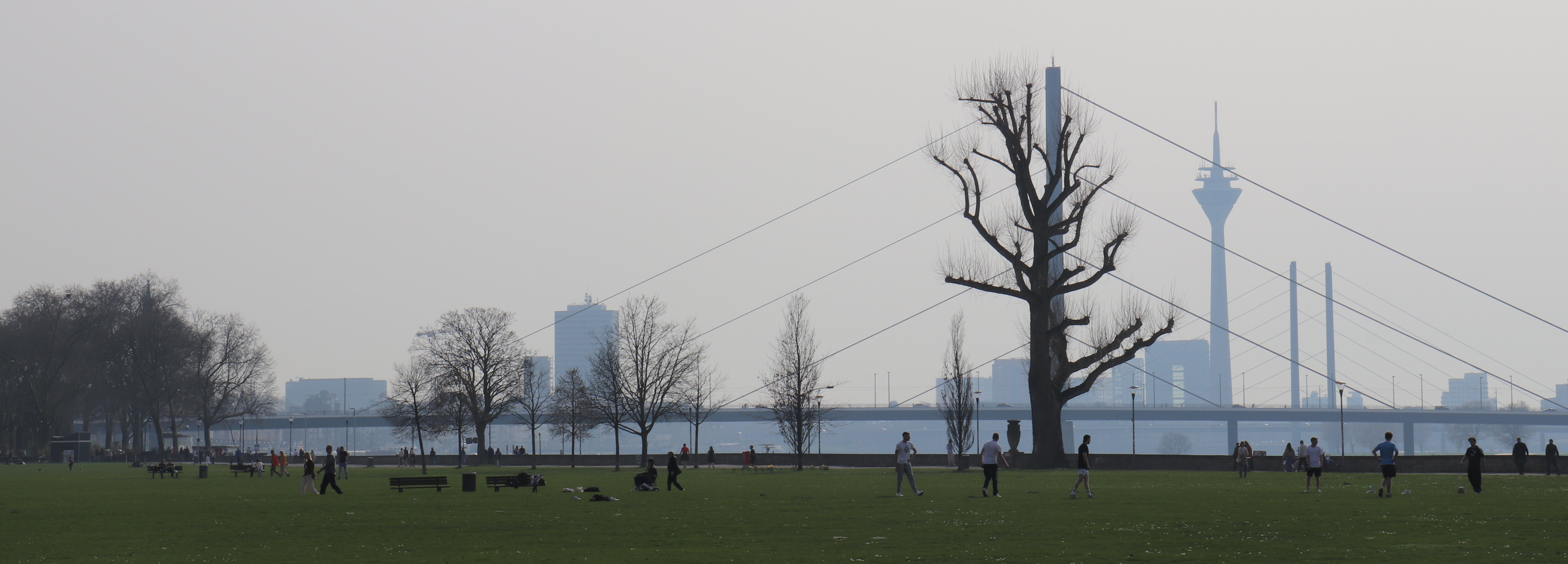 Auf dem Bild sieht man das Rheinfuer von Düsseldorf bei gutem Wetter. Im Hintergrund sieht man die mit dem Rheinturm Skyline