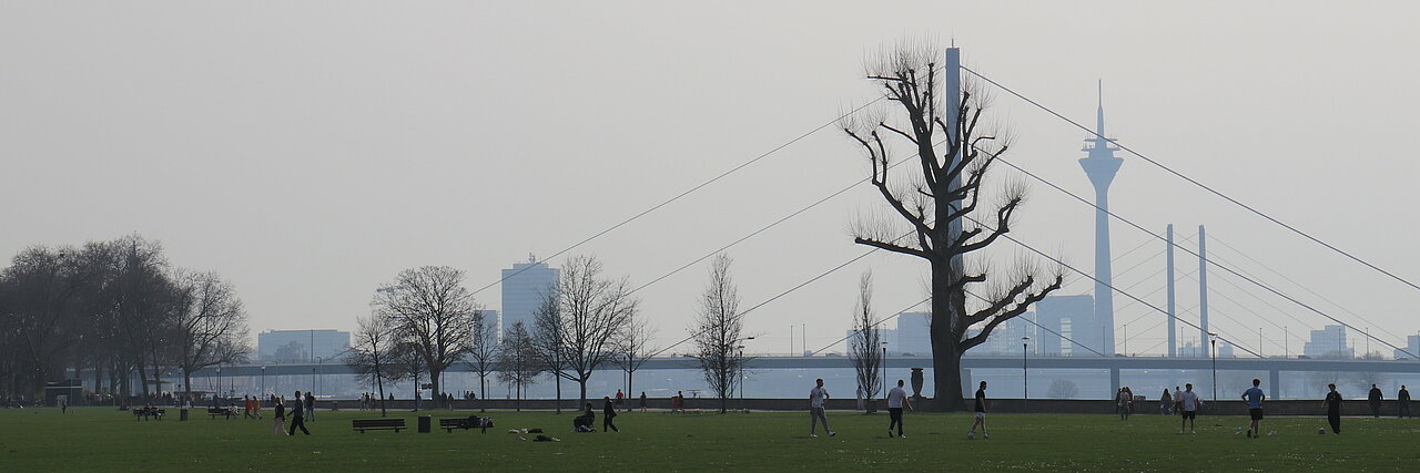 Auf dem Bild sieht man das Rheinufer und die Skyline in Düsseldorf vom Rheinpark aus