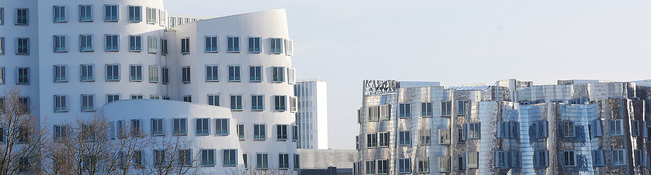 Auf dem Foto sieht man die Gehry-Bauten am Medienhafen in Düsseldorf (Foto: Maylea Selisch)