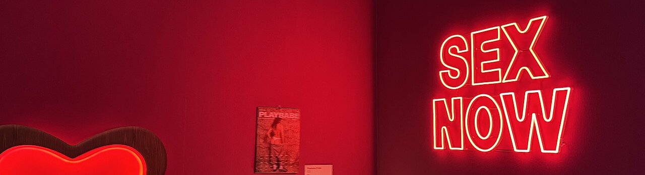 Auf dem Bild sieht man einen leuchtenden Schriftzug "Sex Now"
