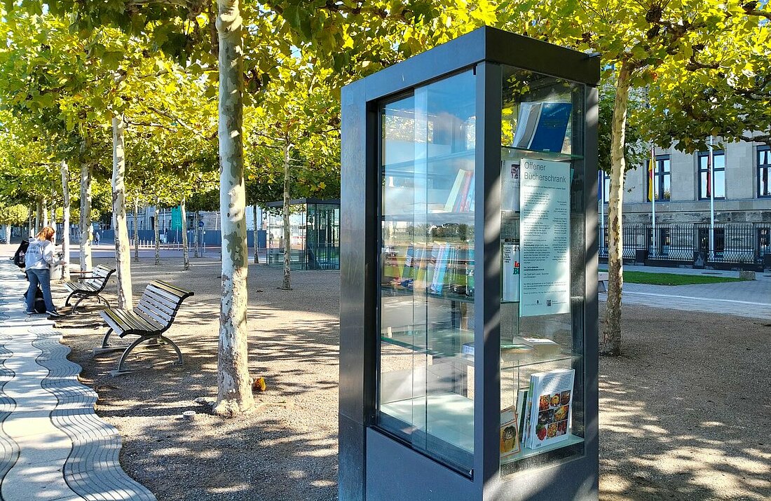 Auf dem Foto ist ein Kasten mit gläsernen Schiebetüren gezeigt, welcher mit Büchern gefüllt ist.