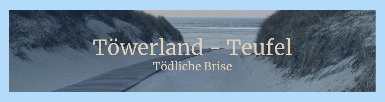 Das Cover des Hörspiels zeigt einen Sonnenuntergang über dem Meer in den Dünen.