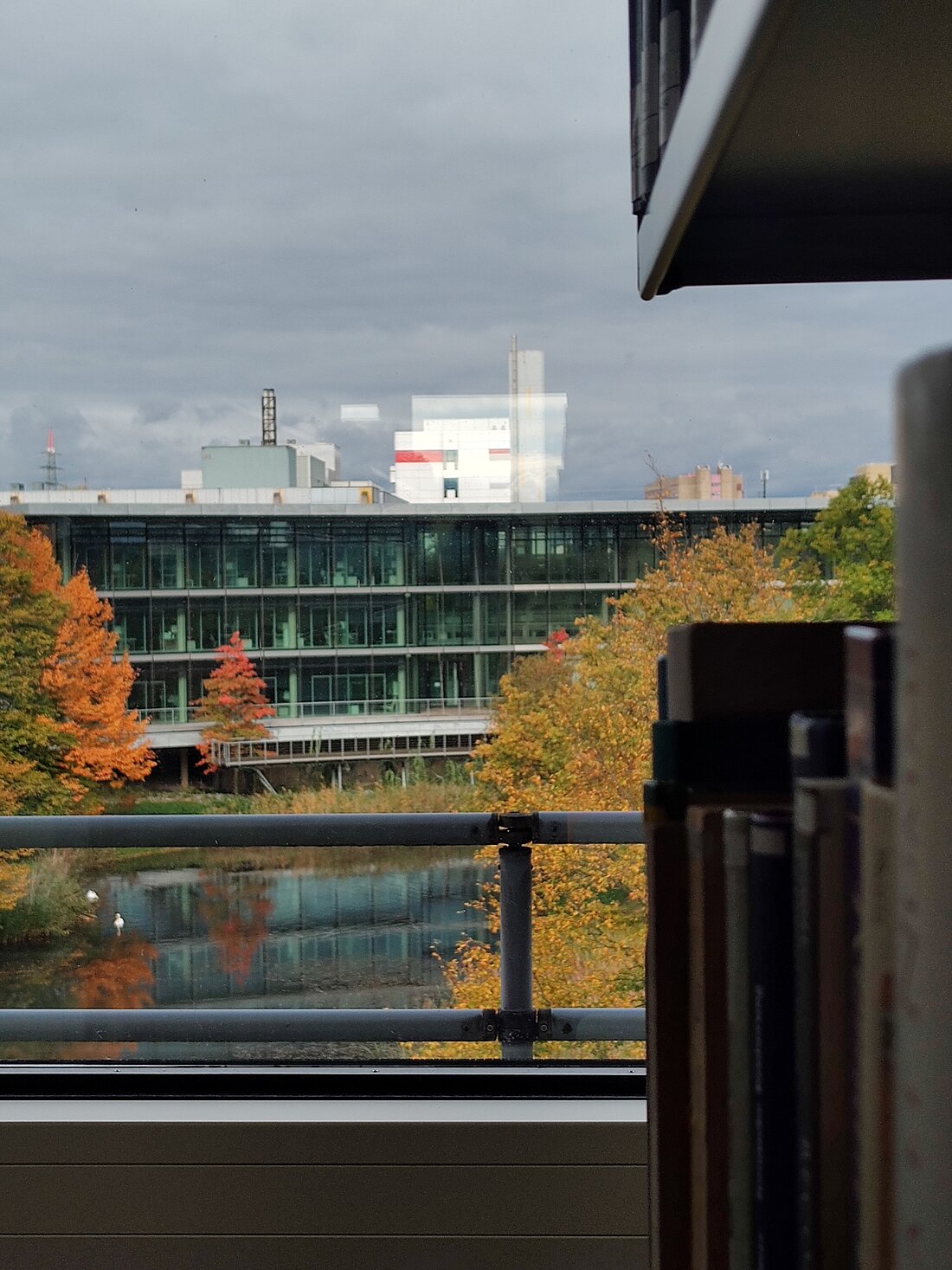 Aussicht auf einen Teich auf welchem Schwäne sind und auf der rechten Seite sind noch Bücher aus der Bibliothek zu erkennen aus welcher das Bild gemacht worden ist.
