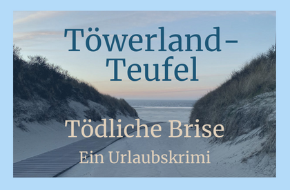 Auf dem Bild ist das Cover des Hörspiels zu sehen. Es zeigt einen Sonnenuntergang über dem Meer in den Dünen.