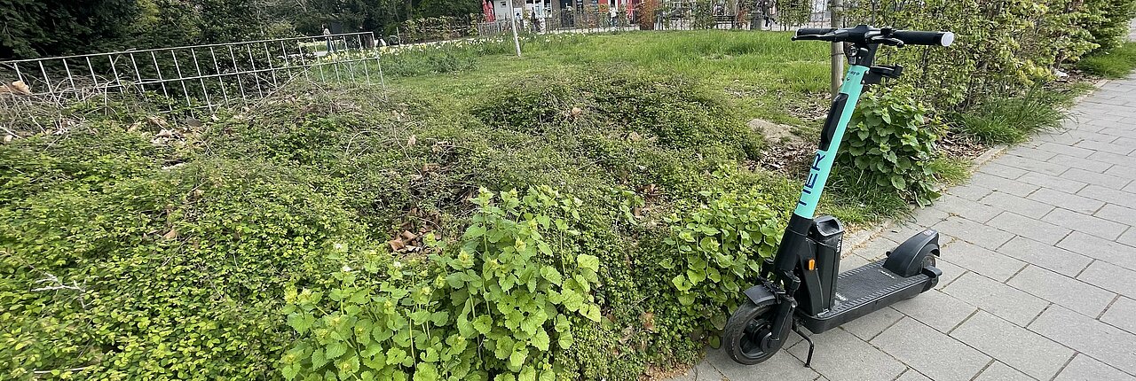E-Scooter finden sich mittlerweile an fast jeder Straßenecke. Zu sehen ist ein E-Scooter geparkt vor einem Busch.