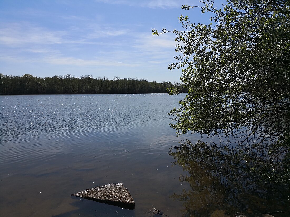 Zu sehen ist ein Ufer des Unterbacher Sees mit Blick auf den See bei blauem Himmel.
