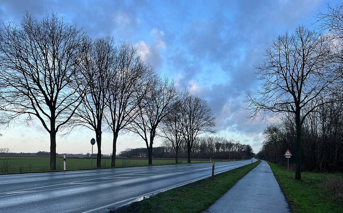 Man sieht eine Straße und Bäume in der Ferne. 