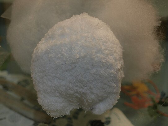 Eine gefüllte runde weiße Socke mit zwei kleinen Füßen.