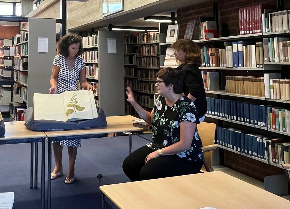 Auf dem Foto sind Dr. Victoria Meinschäfer, Dr. Ute Olliges-Wieczorek und Dr. Teresa Schröder-Stapper zu sehen.