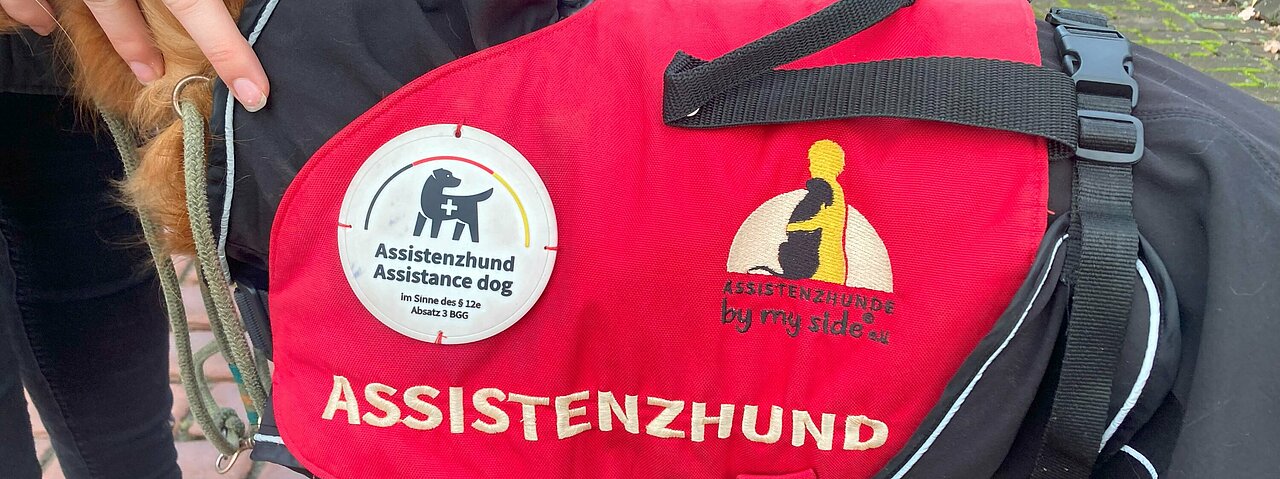 Auf dem Foto ist der Oberkörper von Hund Kasimir zu sehen. Er steht seitlich, so dass nur die rote Weste zu sehen ist, die er trägt. Auf der steht mit weißer Schrift Assistenzhund.