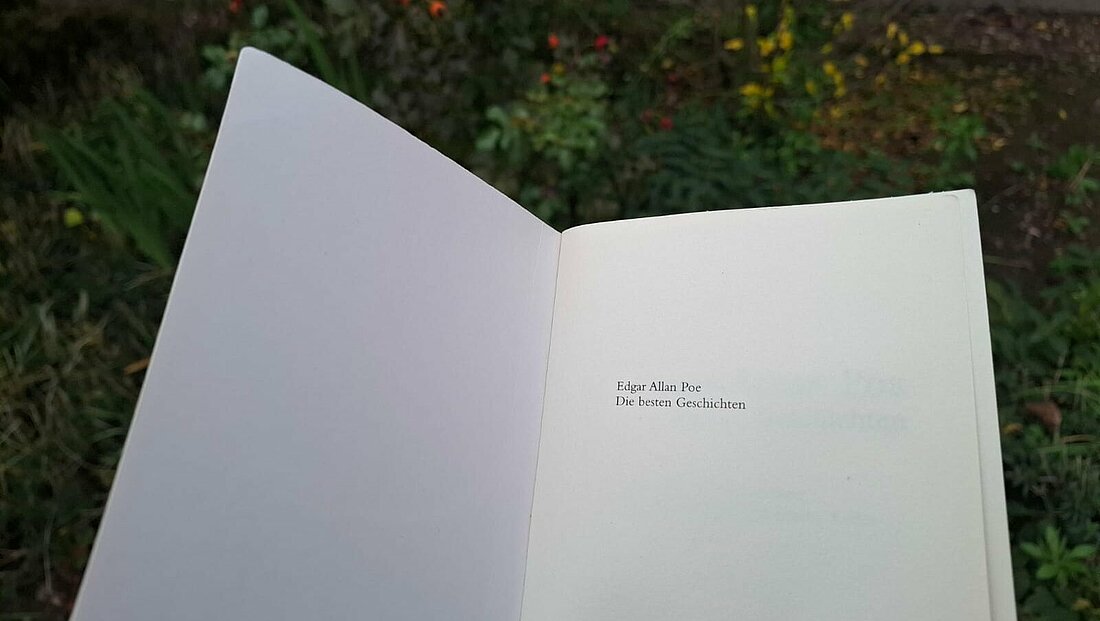 Auf dem Bild sieht man eine Seite, auf der steht "Edgar Allan Poe. Seine besten Geschichten". Das Bild wurde außen im Herbst gemacht (Foto: Lisa Omenzetter)