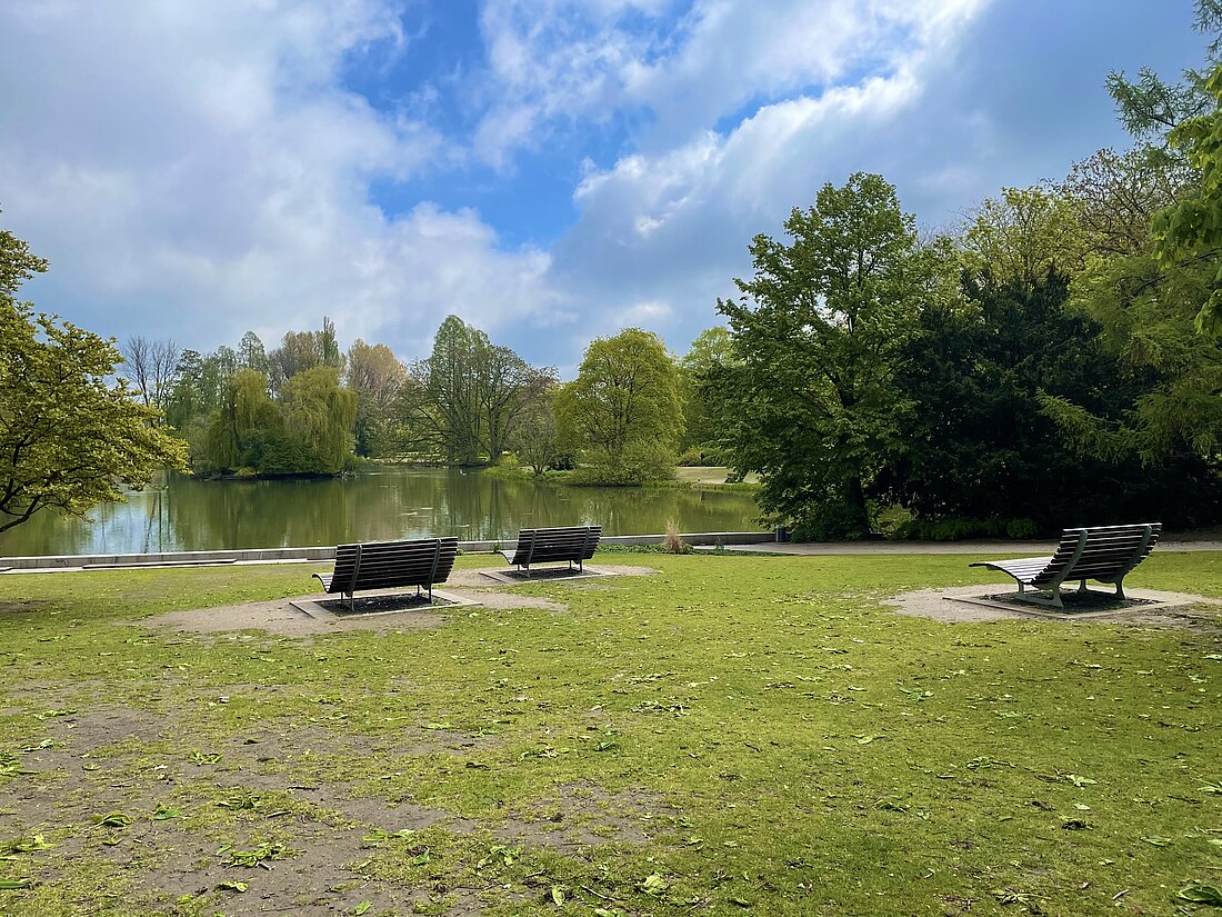 Zu sehen ist der Zoopark mit Blick auf die Teichanlage und einigen Holzliegebänken davor bei blauem Himmel.