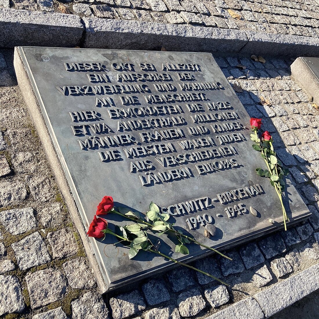 Man sieht eine Gedenktafel mit Rosen an die Opfer der Verbrechen des Nationalsozialismus.