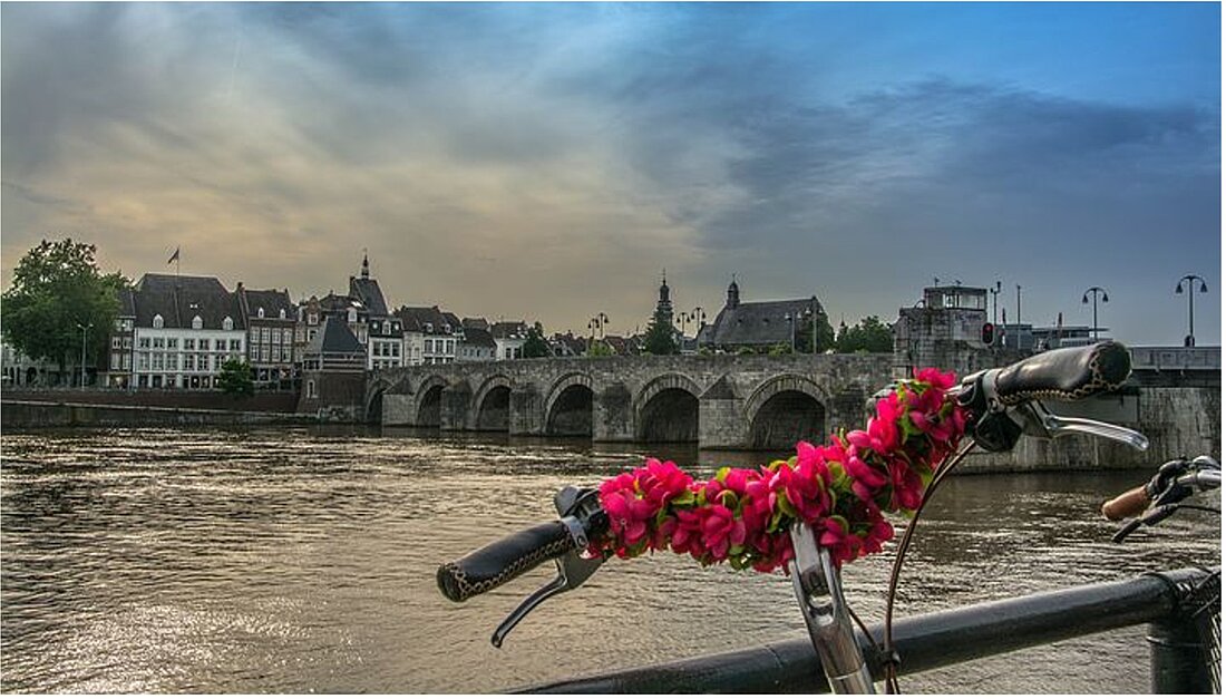 Zu sehen ist ein Fluss, die Maas, die unter eine Brücke lang fließt. Im Vordergrund ist ein Fahrradlenkrad zu sehen 