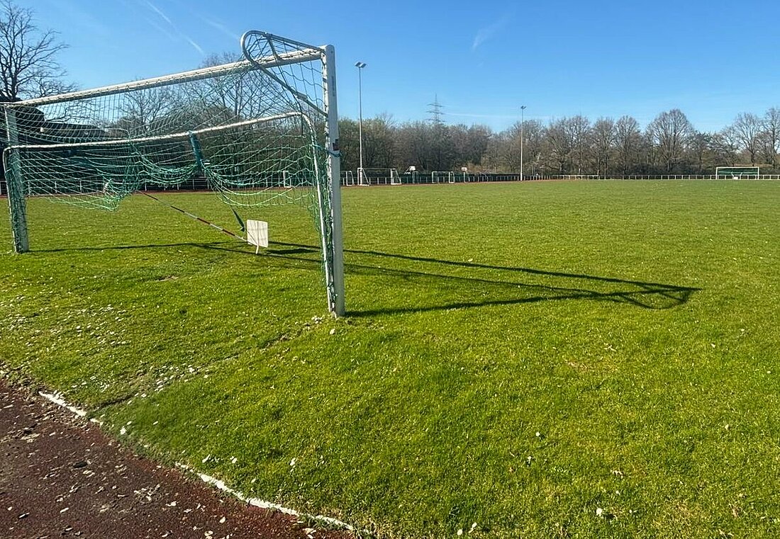 Auf dem Bild sieht man einen Fußball-Rasenplatz am Campus der Heinrich-Heine-Universität. Links im Bild erkennt man ein Tor.