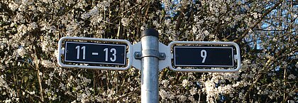 Im Mittelpunkt des Bildes sind Weg-Beschilderungen aus dem Volksgarten zu sehen und im Hintergrund ein blühender Baum 