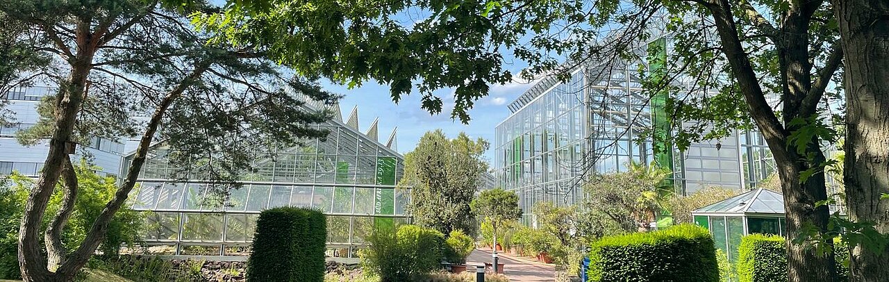 Gewächshäuser im Botanischen Garten Düsseldorf 