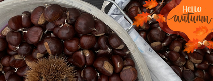 Auf dem Bild sieht man Kastanien, die in zwei Säcken liegen, da sie frisch gesammelt worden sind. In der rechten Ecke befindet sich ein Herbst-Logo (Foto: Lena Sorgalla)