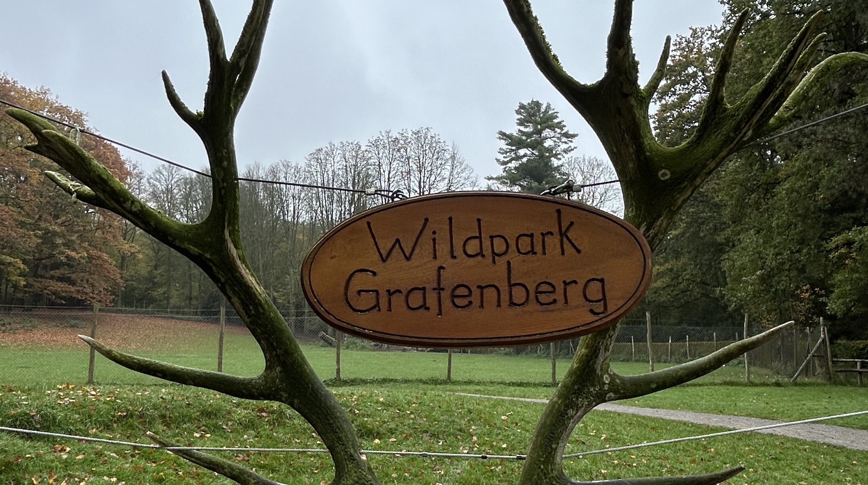 Schild von dem Wildpark im Grafenberger Wald auf einem Geweih (Foto: Anja Händel)