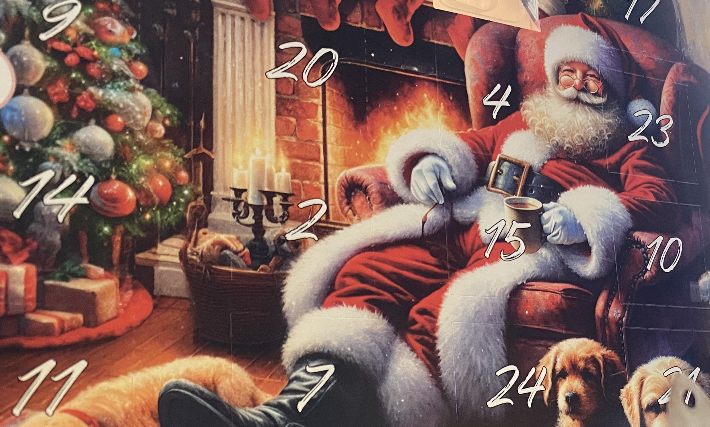 Man sieht einen Adventskalender, der in grünen Tannenzweigen steht.