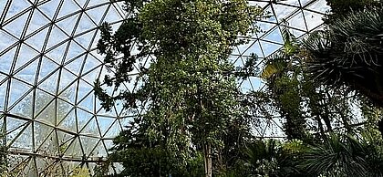 Kuppel im Botanischen Garten Düsseldorf von innen