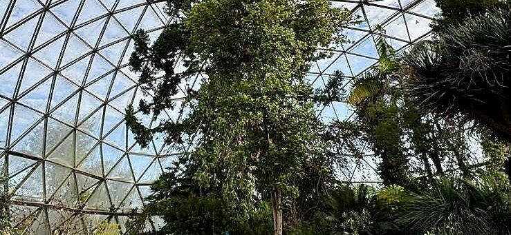 Kuppel im Botanischen Garten Düsseldorf von innen