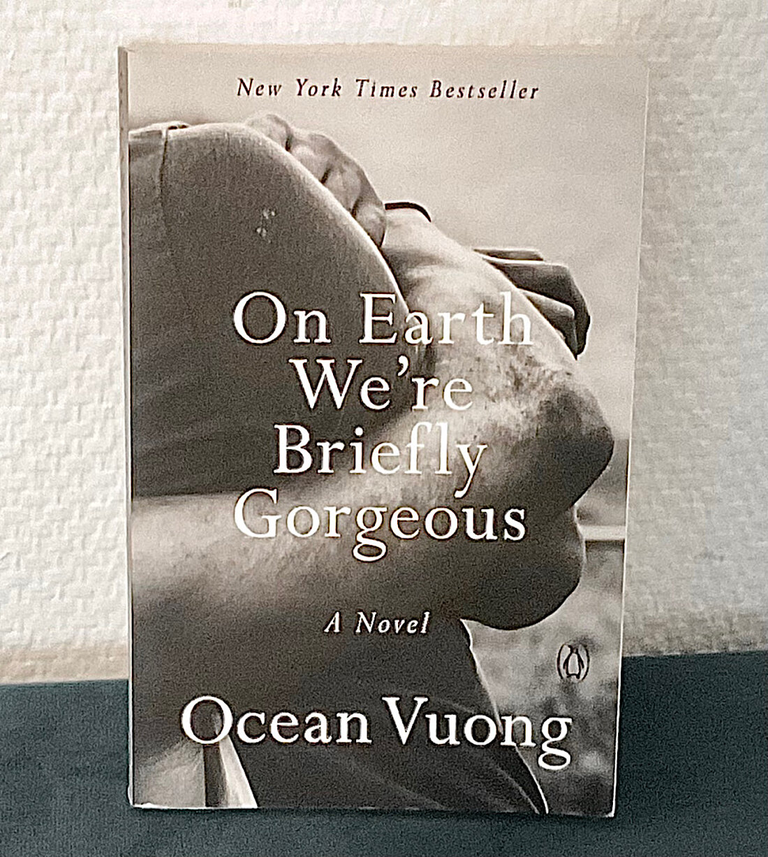 Man sieht das Buchcover des Romans On Earth We’re Briefly Gorgeous