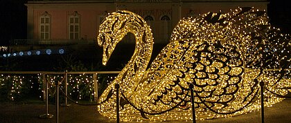 Vor Schloss Benrath ist ein Schwann aus Lichterketten