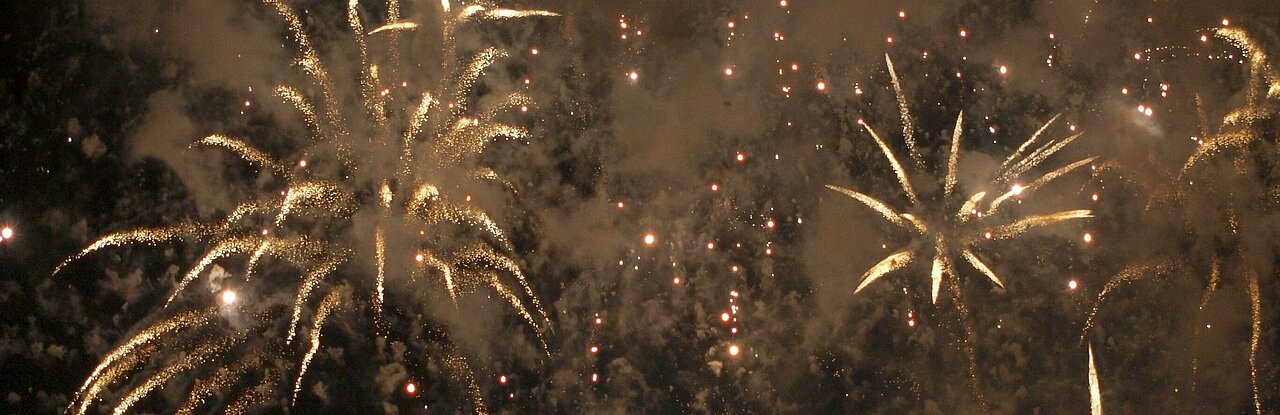 Feuerwerk an Silvester (Foto: Michelle Pieczyk)