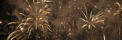 Feuerwerk an Silvester (Foto: Michelle Pieczyk)