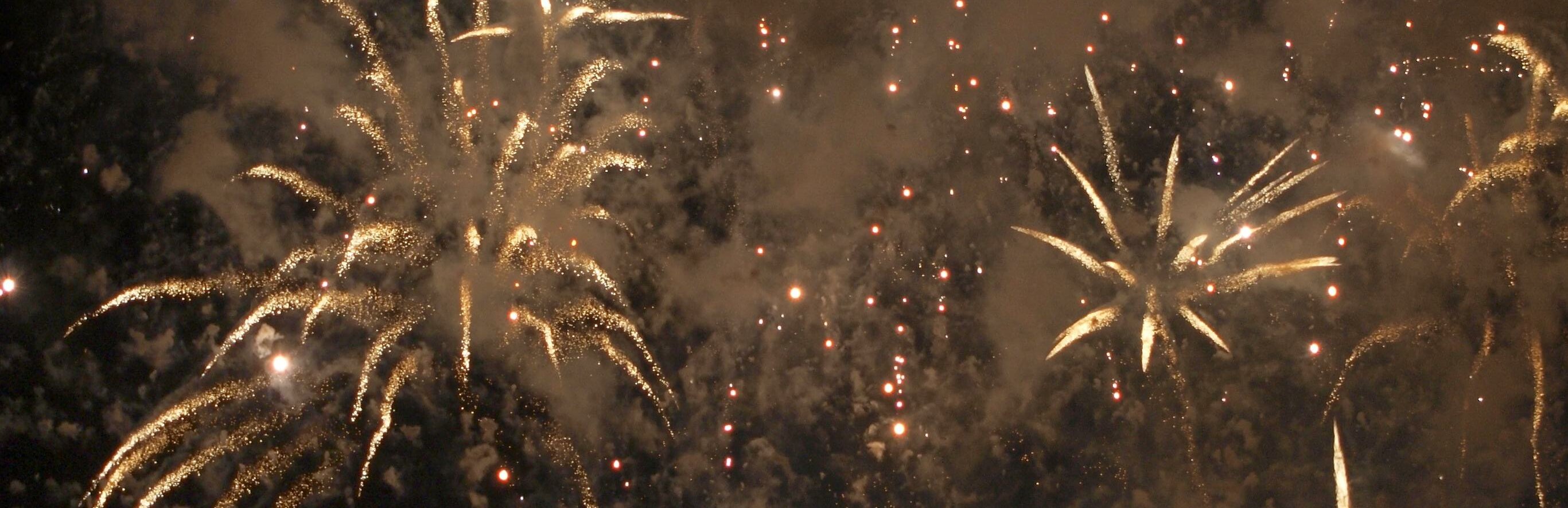 Feuerwerk an Silvester (Foto: Michelle Pieczyk)