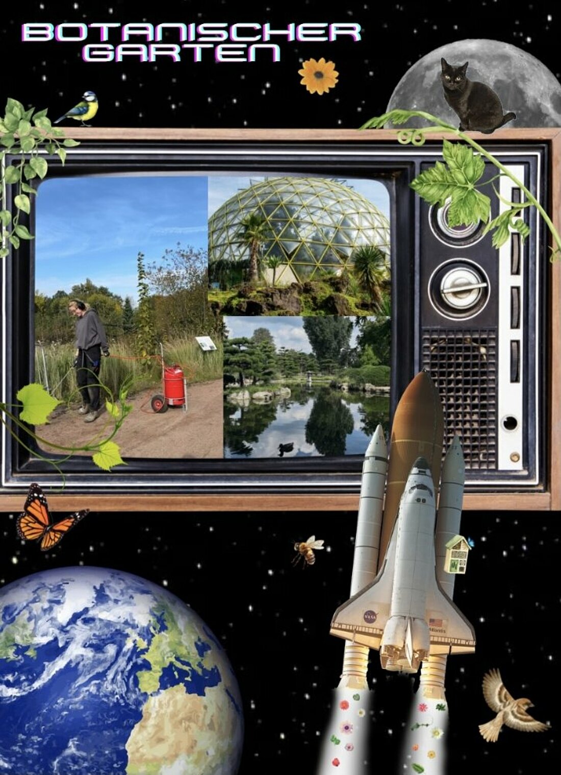 Eine Collage über den Botanischen Garten. In einem Fernseher sind drei Bilder zu sehen: Von der Kupel im Botanischen Garten, von einer Frau die Pflanzen behandelt und einem Teich.