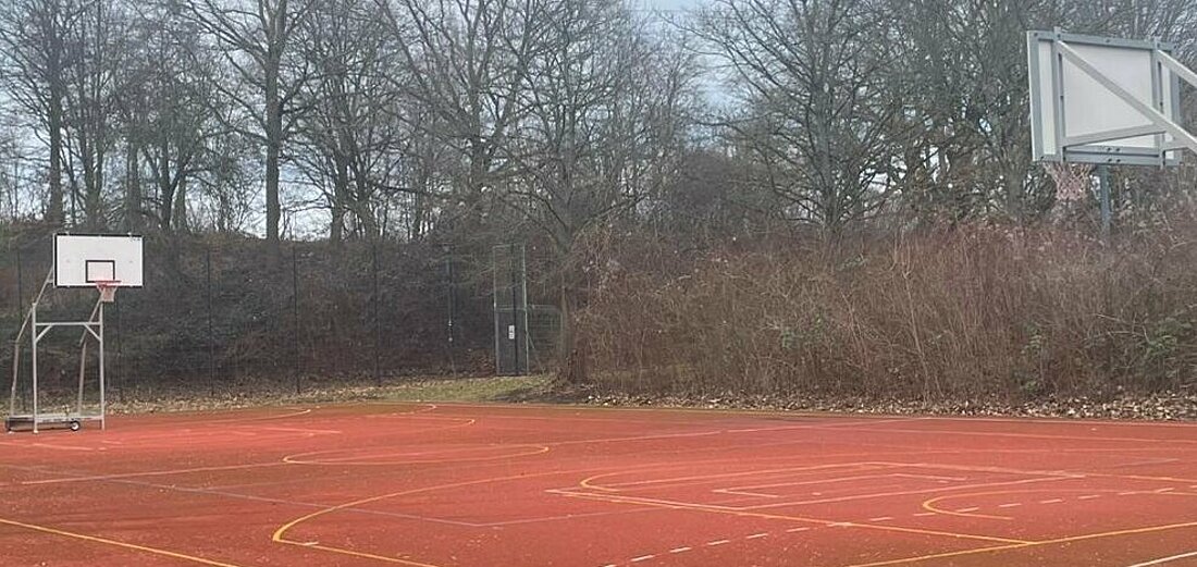 Auf dem Bild sieht man den Basketballplatz am Campus der Heinrich-Heine-Universität. Auf beiden Seiten ist ein Korb sichtbar.