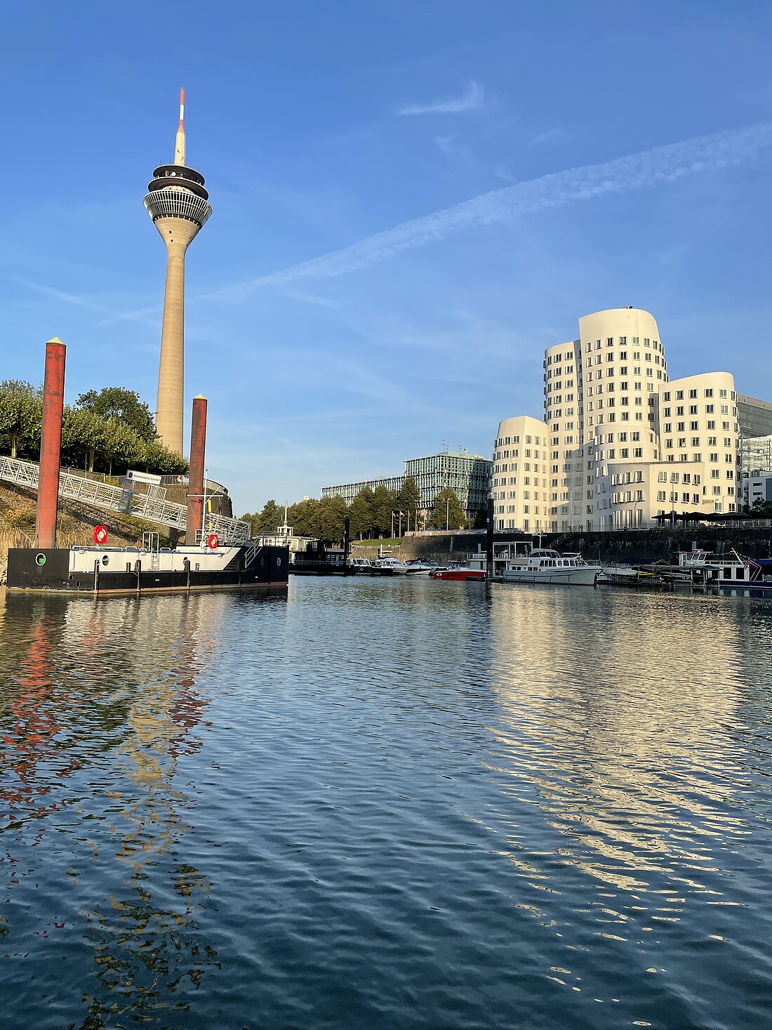 Man sieht den Fernsehturm vom Wasser aus fotografiert