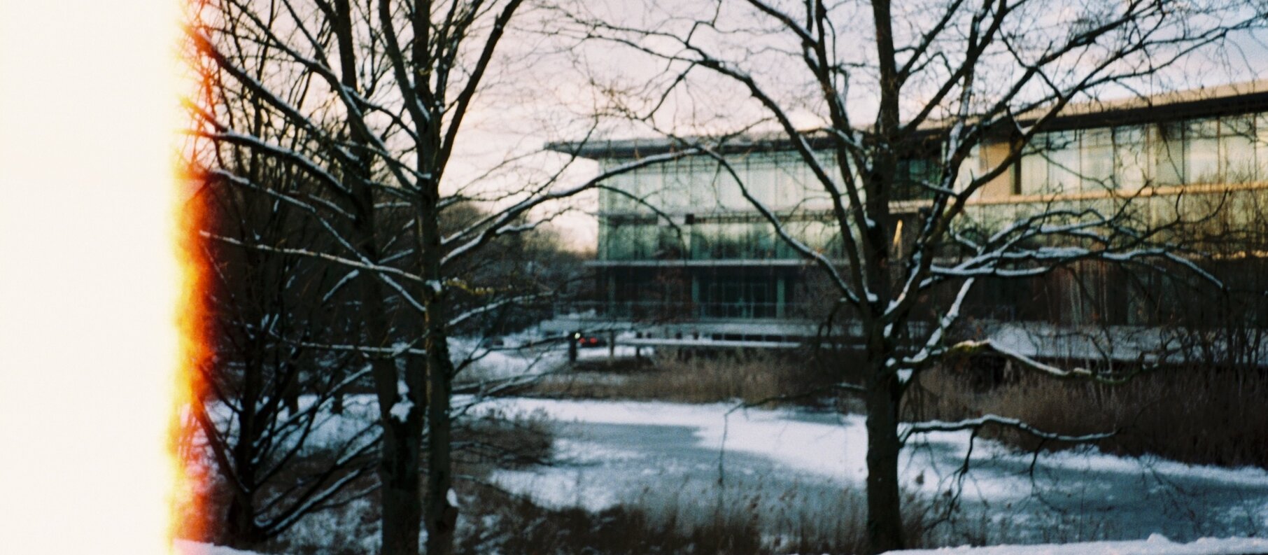 Bild vom Oeconomicum hinter schneebelegten Bäumen