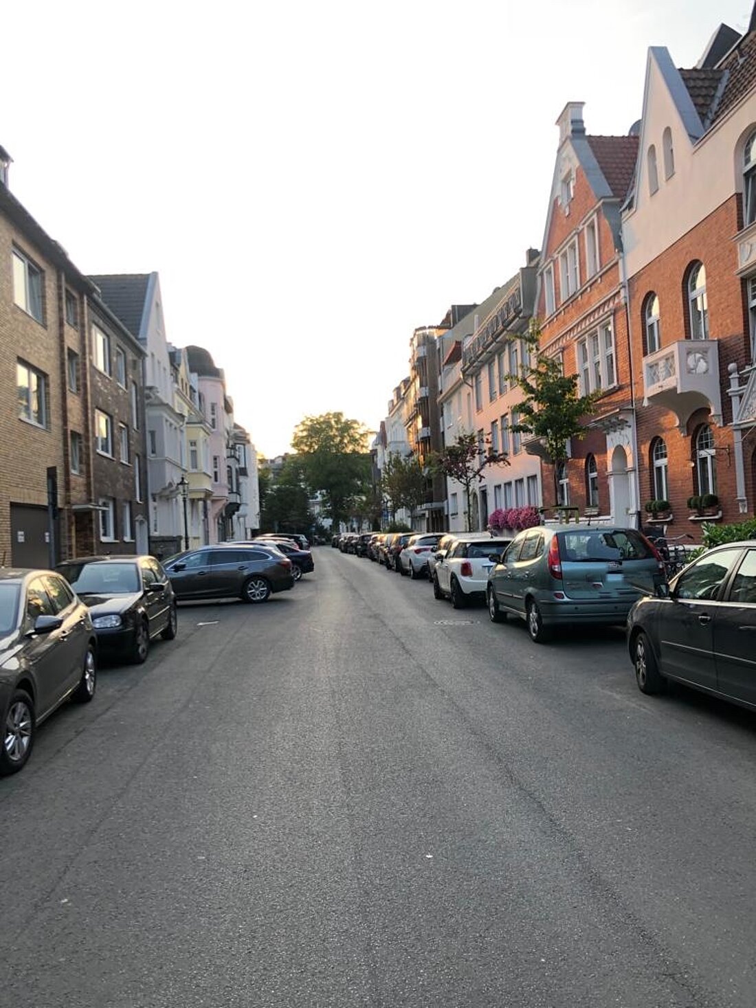 Man sieht Häuserfront und Straßenalee. Im Hintergrund untergehende Sonne.